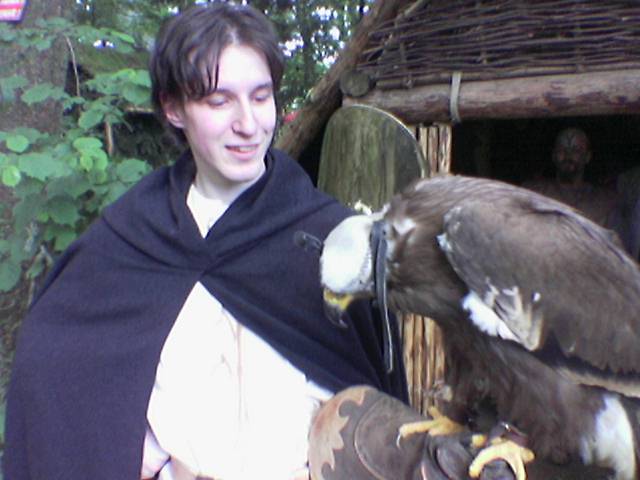 Steppenadler